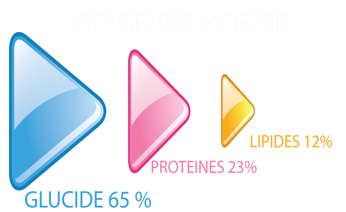 Alimentation prise de masse musculaire 