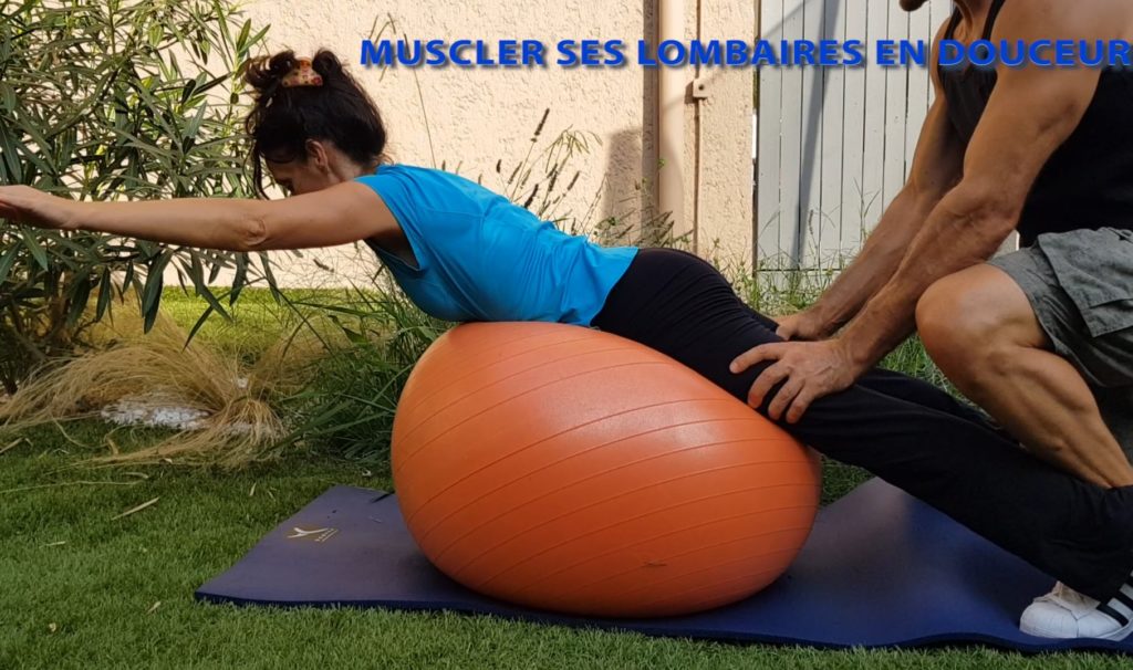 Exercice pour muscler le dos